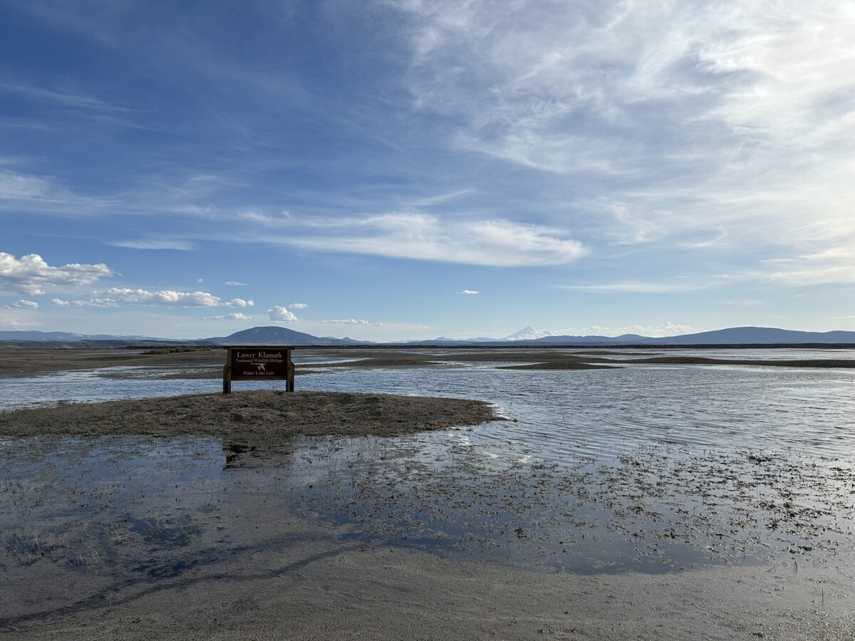 Back from Dry: Klamath Wetlands Rebound After Years of Drought